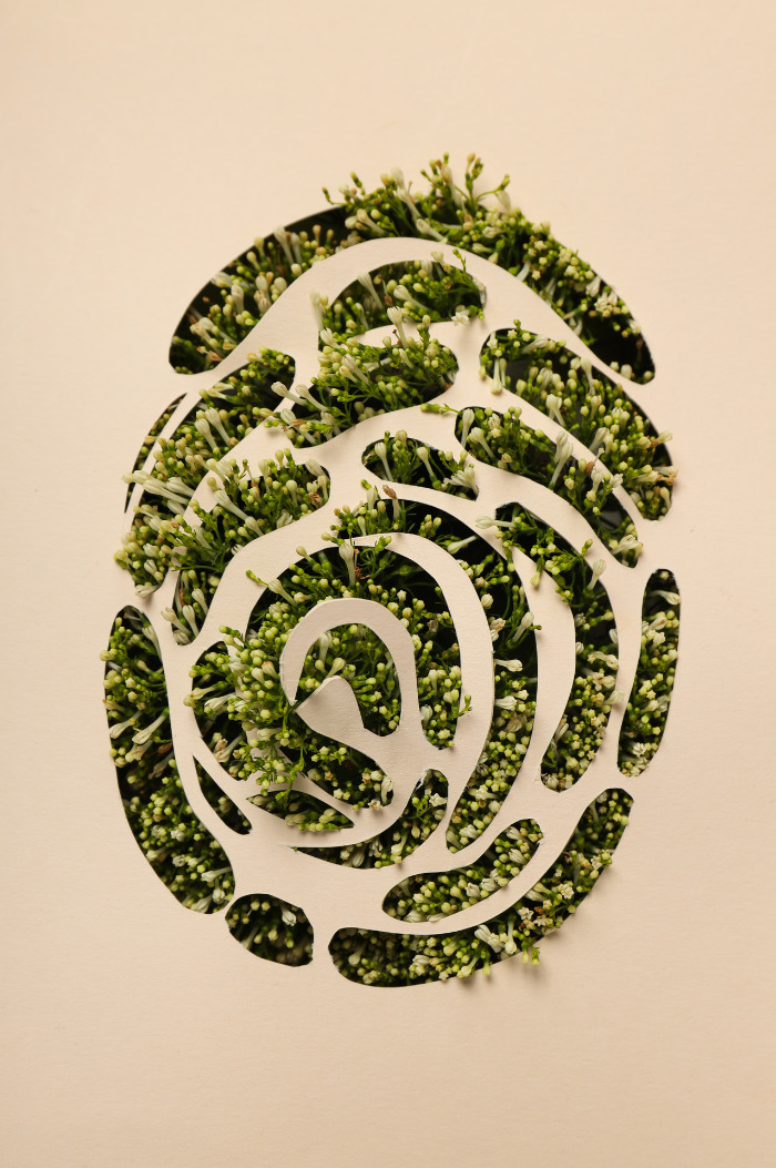 which of these is an environmental impact of digital technology