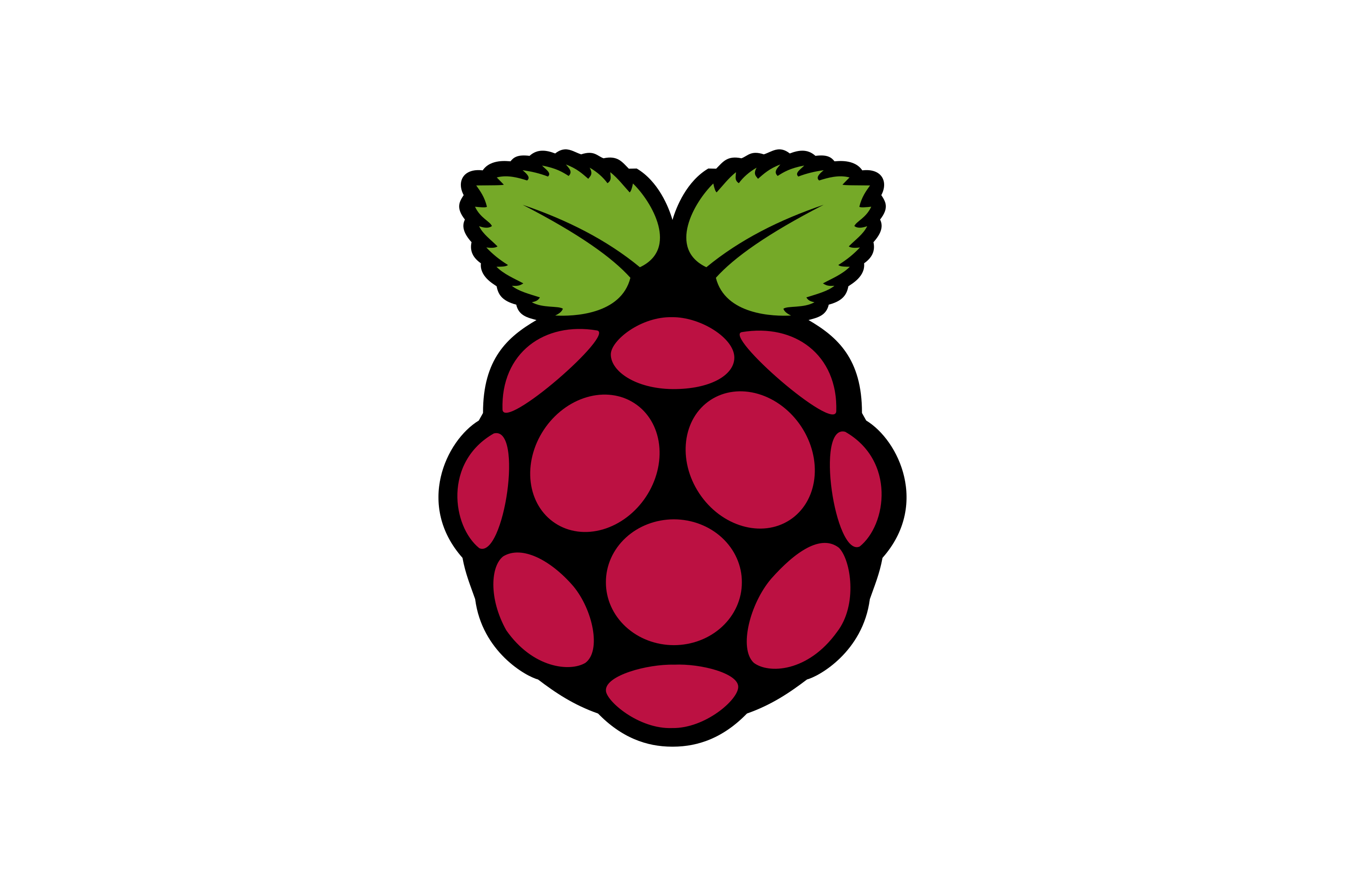 Raspberry_Pi-Logo.wine Logo Raspberry Pi, technologie embarquée du player E-BOX d'EMITY