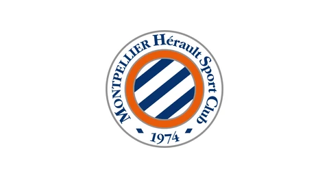 Logo MHSC, client EMITY